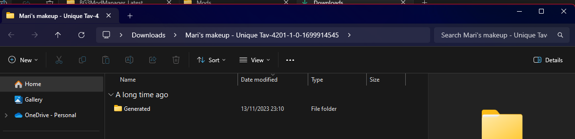 File Explorer window